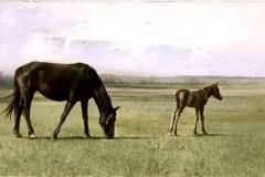 Foal and Horse