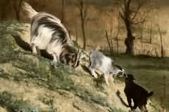 Goat Etude