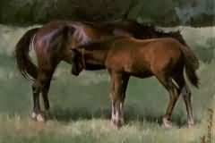 Foal and horse etude