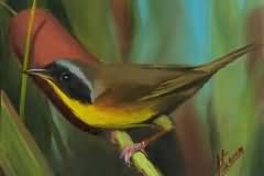 Common yellowthroat