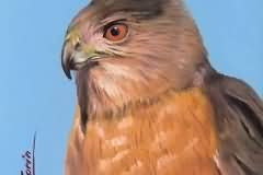 Eagle