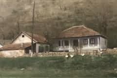 Butuceni