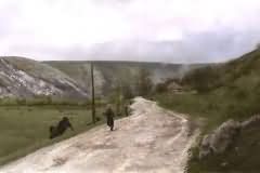 Depasturing Cows