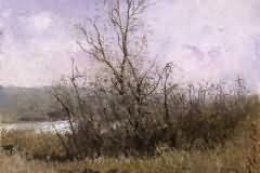 Spring Day