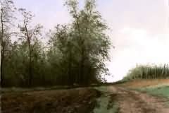 Rural motives