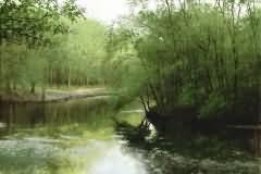 Peace