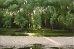 Sparcling algae on evening wind