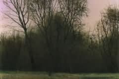 Twilights