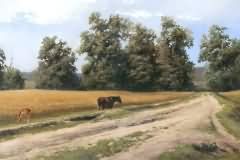 Wheat fiels