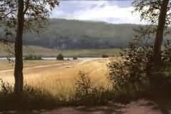 Wheat Field