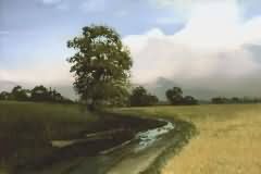 After the rain