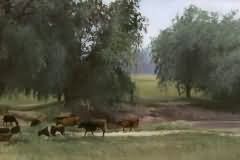 Comming home