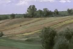 Moldavian landscape