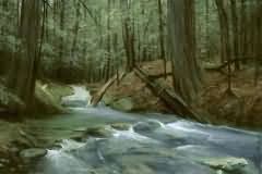Deep in the forest