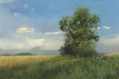 Summer