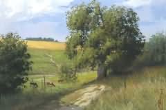 Rural motives