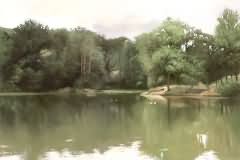 Summer landscape