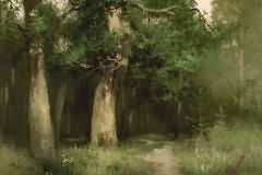 Oaks