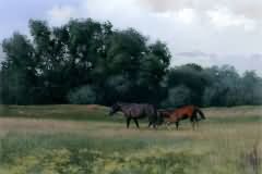 Rural motives