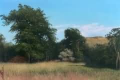 Late summer