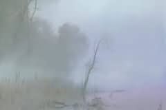 Hazy morning