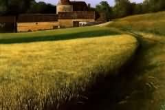 Wheat field