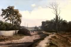 Evening shadows