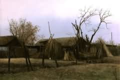 Country view