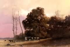 Evening