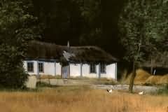 Moldavian landscape