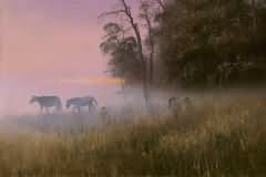 Hazy morning
