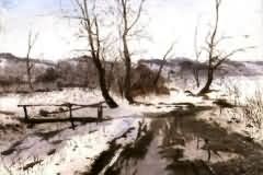 Winter landscape