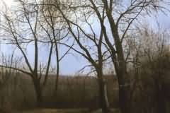 Warm winter