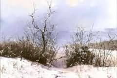 Winter landscape