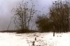 Winter landscape