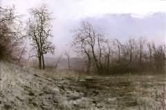 Thaw