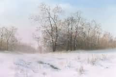 Winter etude