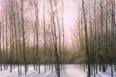 Winter evening