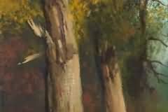Stem of tree