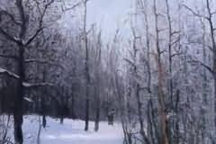 Winter landscape