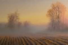Mistry sunrise