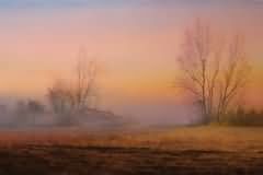 Morning