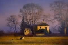 Evening