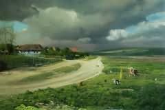 Country roads