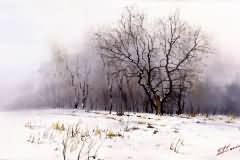 Winter landscape