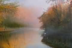 Hazy morning