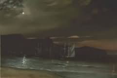 Moonlight night