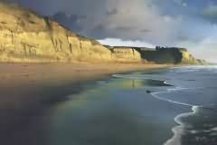 Sonoma Country Coast