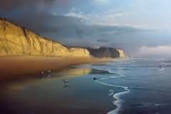 Sonoma Country Coast