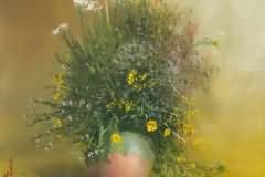 Wild flowers